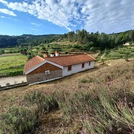 Quinta Da Peca Douro Vinhateiro Vila Real Exterior photo
