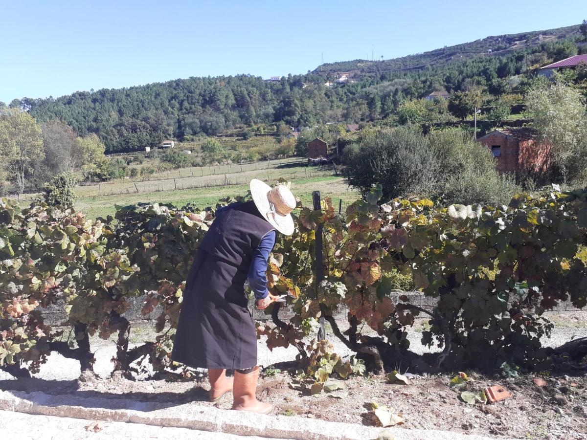Quinta Da Peca Douro Vinhateiro Holiday home Vila Real
