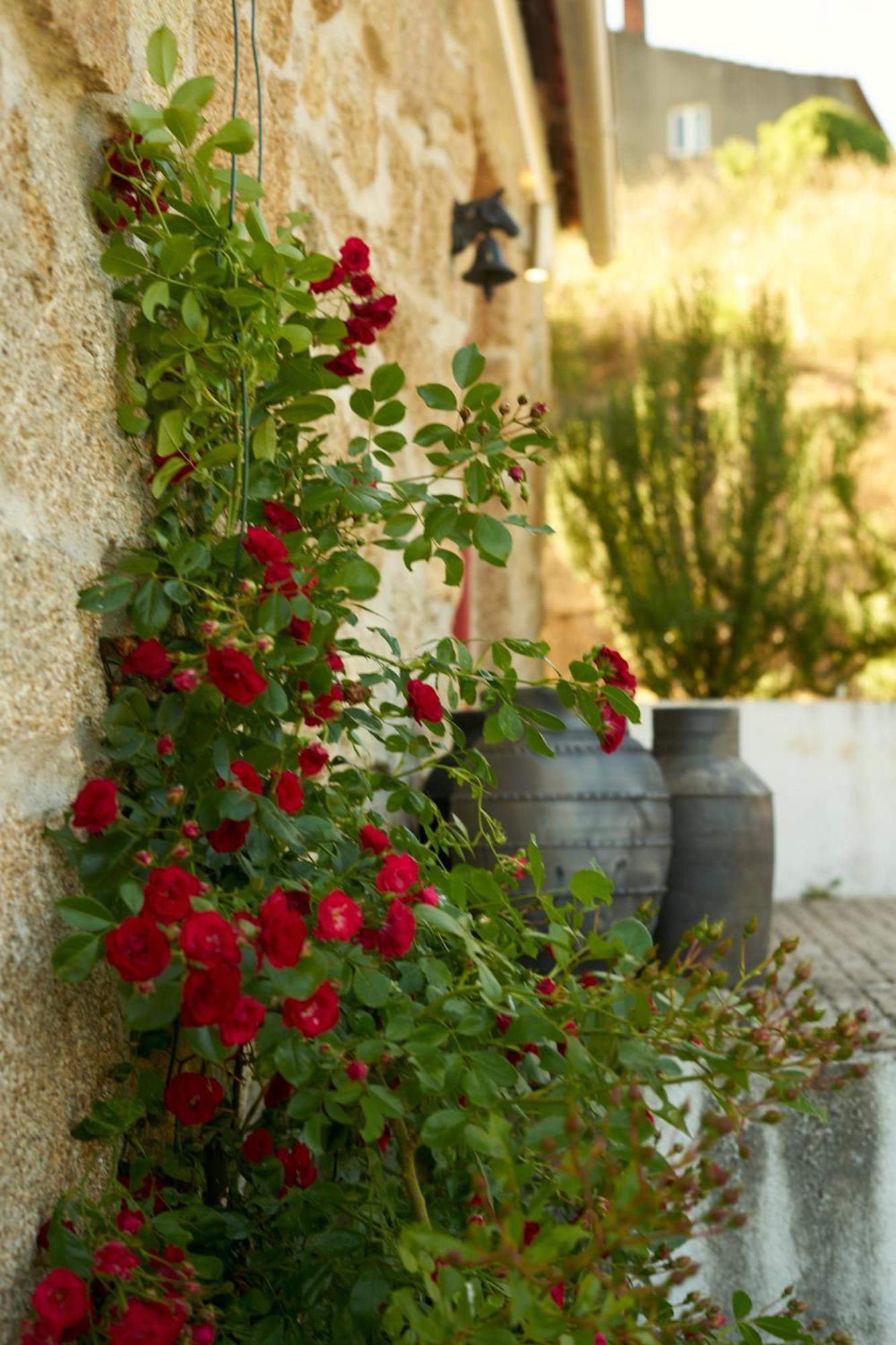 Quinta Da Peca Douro Vinhateiro Сasa de vacaciones Vila Real